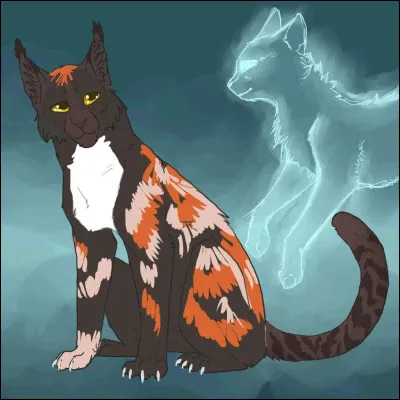 Tu finis par t'endormir, tu rêves de ton frère/ta sur à la différence que son pelage est parsemé de petites étoiles et qu'une lumière pure émane de lui. 
Comment réagis-tu ?