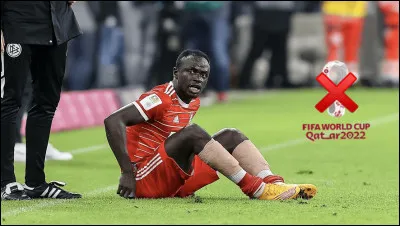 Qui est ce footballeur ?