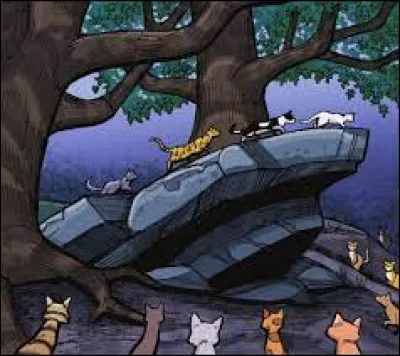 Q - Quatre chênes : Les Quatre Chênes sont le lieu où tous les chats se réunissent pour...