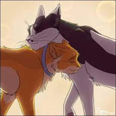 S - Source aux petits poissons : De qui est-elle la compagne ?