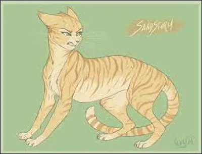 T - Tempête de Sable : Comment s'appellent ses chatons ?