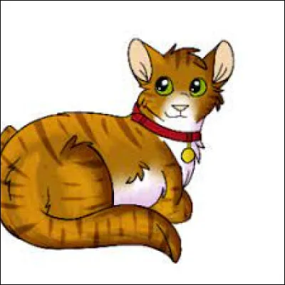 Z - Zigzag : C'est un...