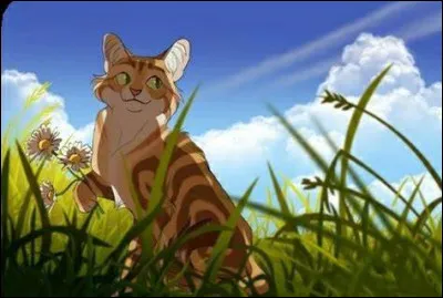 C - Clans : Les chats de LGDC sont divisés en quatre clans. Quel est celui se situant dans la lande ?