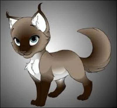 E - Étoile : Tous les chefs ont un nom commençant par "Étoile", sauf un. Lequel ?