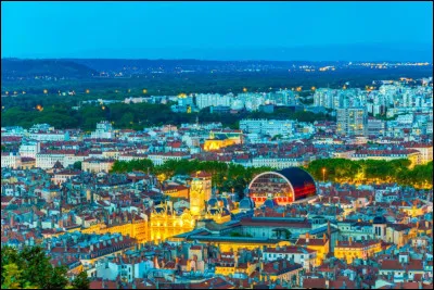 Sport : Lequel de ces joueurs de football n'a jamais jou&eacute; &agrave; l'Olympique lyonnais ?