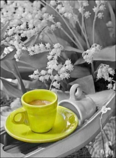 Quel "café" a été chanté par Joe Dassin ?