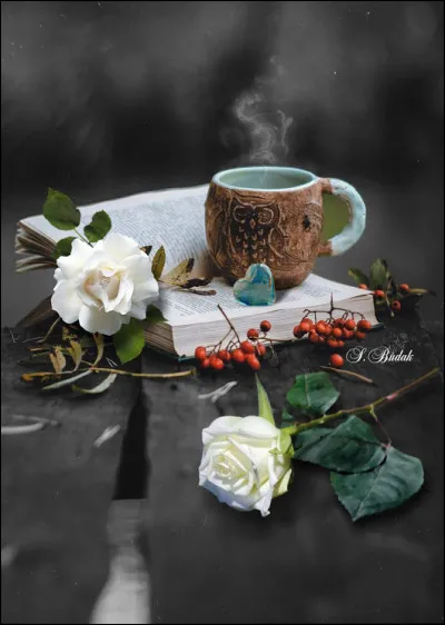 Dans le titre du roman d'Agnès Martin-Lugand, que font les gens heureux ?