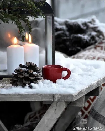 Aidez-moi à retrouver la ville de la chanson de Sardou ! "Un musicien assassinait Mozart, dans un café de..."