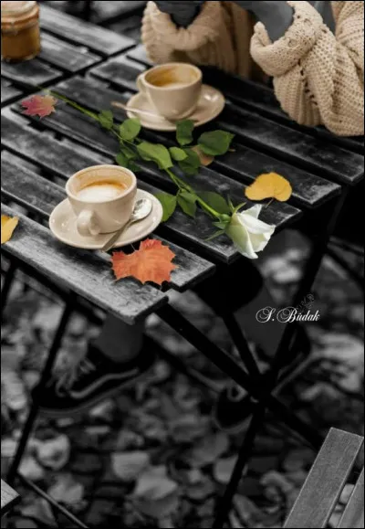 Dans sa chanson, dans quel café Patrick Bruel chantait qu'on aurait pu se dire tout ça ailleurs que dans ce café-là ?