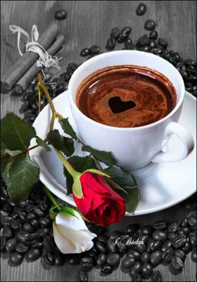 Comment se nomme le fruit du caféier ?