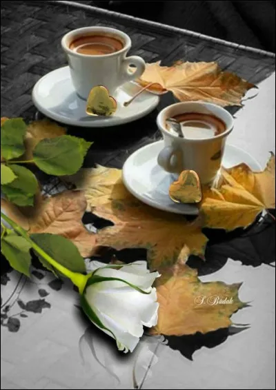 Qui chantait qu'il suffirait de presque rien pour l'emmener à Saint-Germain et lui offrir un autre café-crème ?