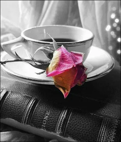 Quel auteur de romans policiers a écrit "Ceux du Grand Café" ?