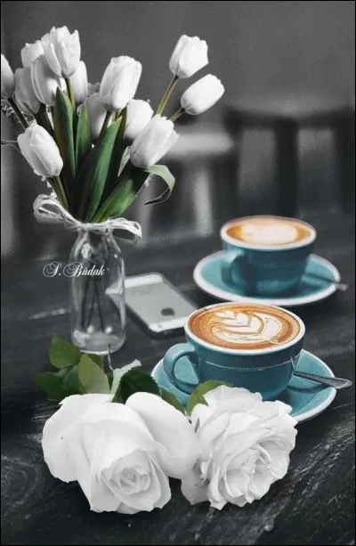 Pour Nicolas Peyrac, dans quel grand café parisien, y avait-il déjà des "folles" ?