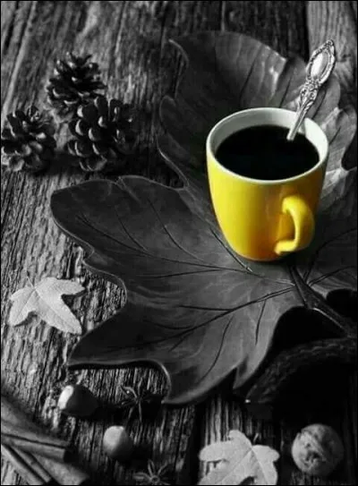 Quel pays est le plus grand producteur de café ?