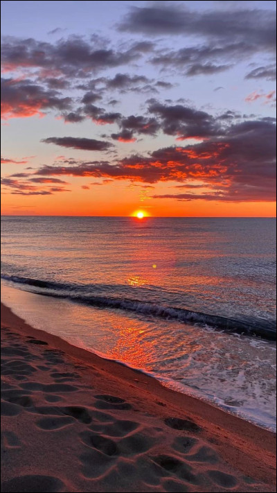 Cet été, tu penses partir en vacances :