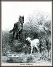 Le loup et l'agneau est une fable de... .