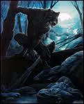 Se dit d'un homme qui se transforme en loup lors des nuits de pleine lune.