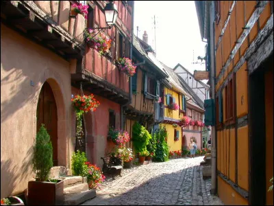 Culture : Lequel de ces mots n'est pas issu du dialecte alsacien ?