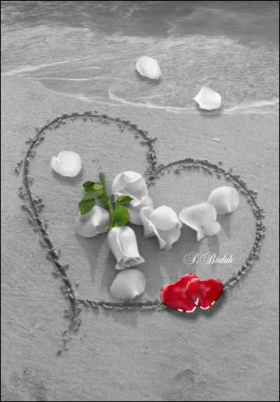 Qui chantait "Mon doux, mon tendre, mon merveilleux amour, de l'aube claire jusqu'à la fin du jour" ?