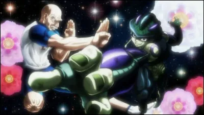 Dans quel arc assiste-t-on au combat entre Netero et Meruem ?