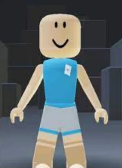 Est-ce que l'on a un profil ?