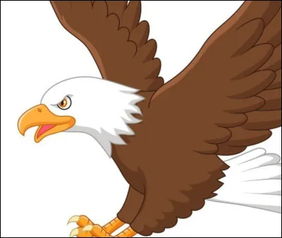 Les aigles sont :