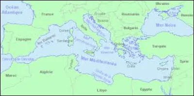 Qui a chanté ''Méditerranée'' ?