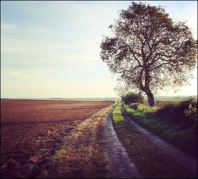 Sur quel album de Francis Cabrel peut-on retrouver le titre "Les Gens absents" ?