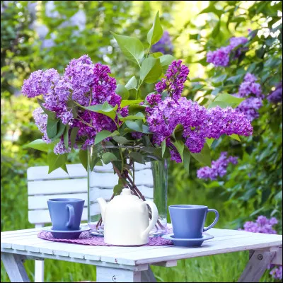 Dans quel film de René Clair, sorti en 1957, Georges Brassens fut-il acteur ?