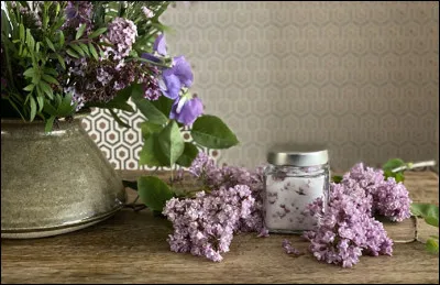 "Dans les jardins de mon père, les lilas sont fleuris, tous les oiseaux du monde, viennent y faire leurs nids...". Quelle est cette chanson d'Aristide Bruant ?