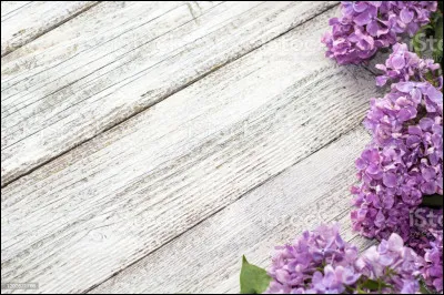 Qui chante "Le Poinçonneur des Lilas" en 1958 ?