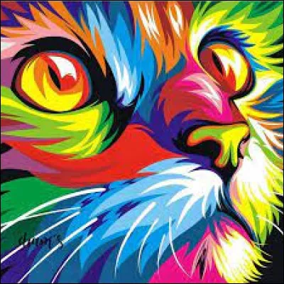 Quelle est ta couleur préférée ?