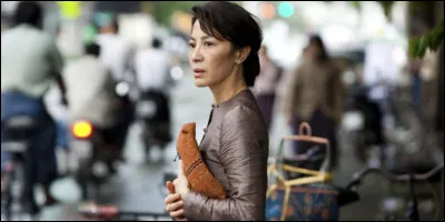 Quel est ce film où Michelle Yeoh est une militante ?