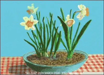 Et voici encore un bouquet de jonquilles. Qui en est l'auteur ?