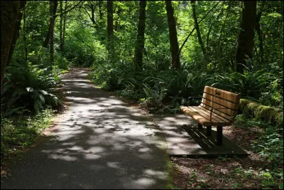 Aimes-tu la nature ?