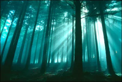 Quel est votre lieu fantastique pr&eacute;f&eacute;r&eacute; ?