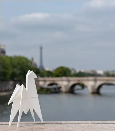 Quelle partie du licol passe par le chanfrein du poney ?