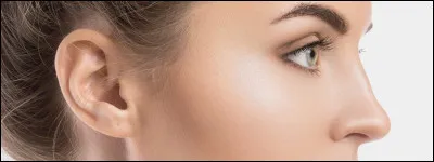 À présent que vous êtes échauffés, corsons un peu. Espérons que vous aurez du nez pour trouver ce célèbre personnage de l'univers d'Astérix.