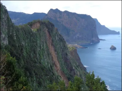 Quel nom spécifique donne-t-on à cette forêt primaire humide recouvrant encore aujourd'hui une vingtaine de pourcents de la surface de Madère ?