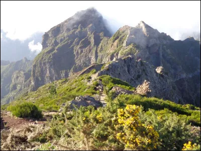 À quelle altitude culmine le Pico Ruivo, plus haut sommet madérien ?