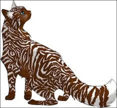 Que penses-tu des chats ?