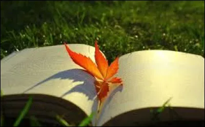 "Le Deuxième sexe" est-il un essai écrit par Marguerite Yourcenar ?