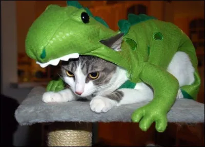 Haaaaaaa ! Godzilla est chez moi ! Ce n'est pas Godzilla mais...