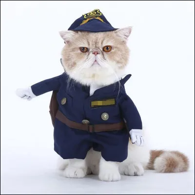 Ce chat a arrêté Godzilla, YOUPIII ! Qui est-ce ?