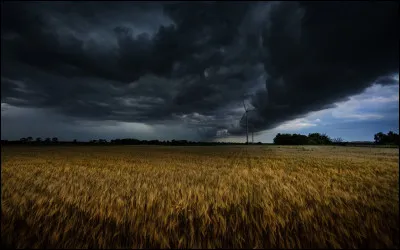 Qui a écrit le roman "Les Hauts de Hurlevent" ?