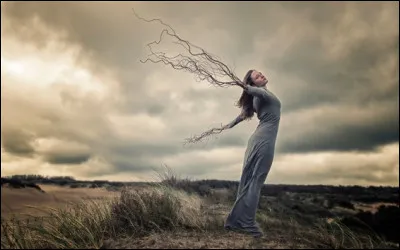 Qui chante "Écoute dans le vent" ?