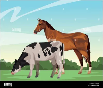 Et est-ce qu'il est dans celle-ci ?