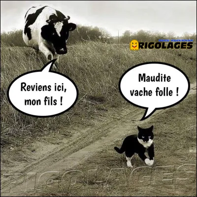 Est-ce qu'il est dans celle-là ?