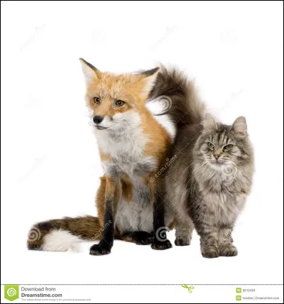 Est-ce qu'il est dans celle-ci ?