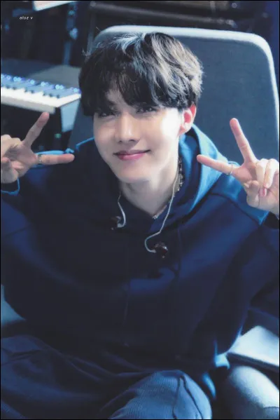 Quel est ce membre ?